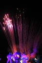 Le concert de feu 23 * 5184 x 3456 * (5.55MB)